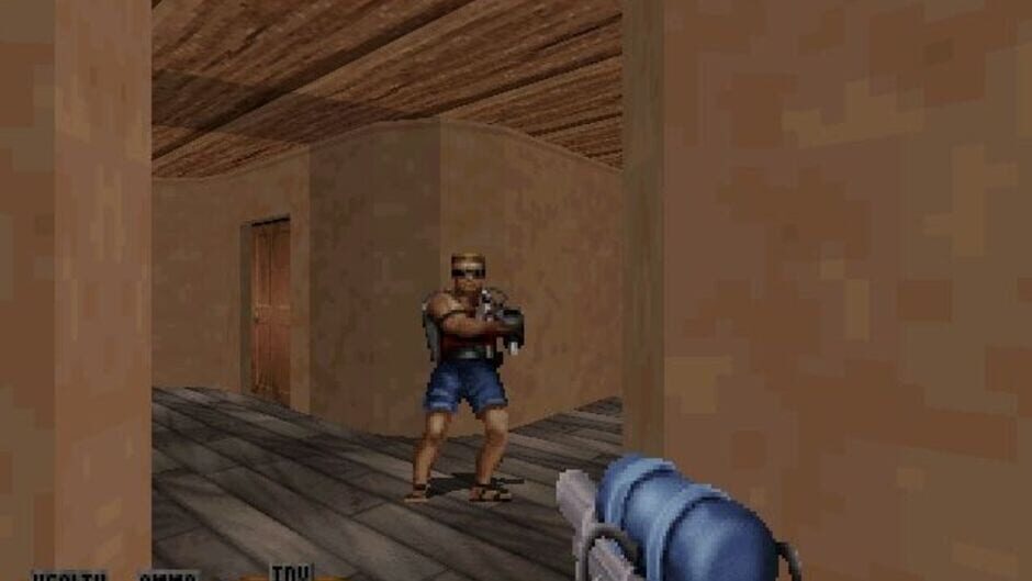 Screenshot for Duke Caribbean: Life's a Beach