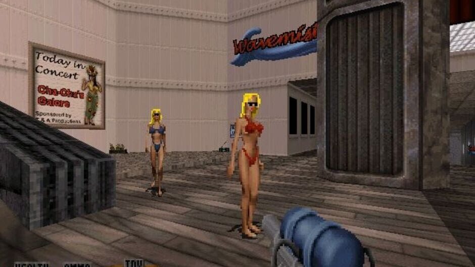 Screenshot for Duke Caribbean: Life's a Beach