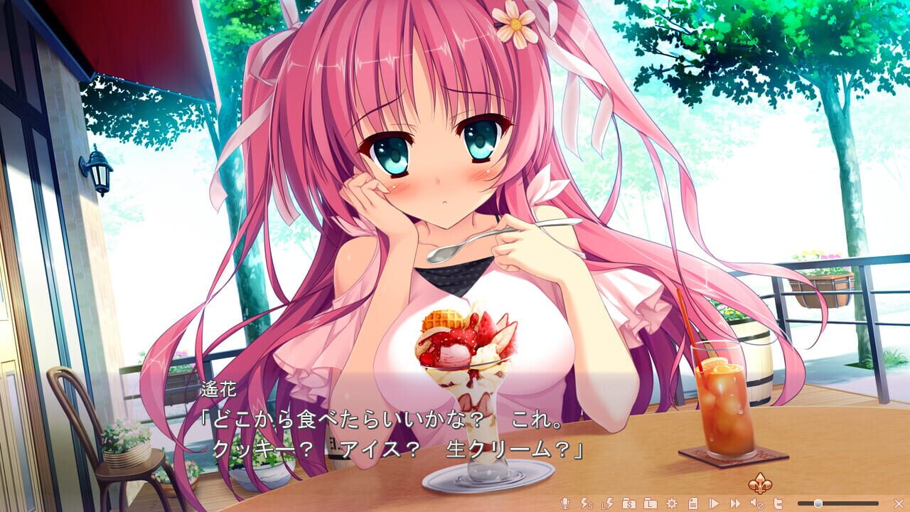 Screenshot for Ojou-sama to Himitsu no Otome
