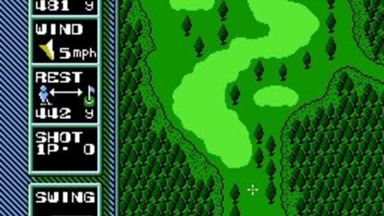 Screenshot for NES Open Tournament Golf