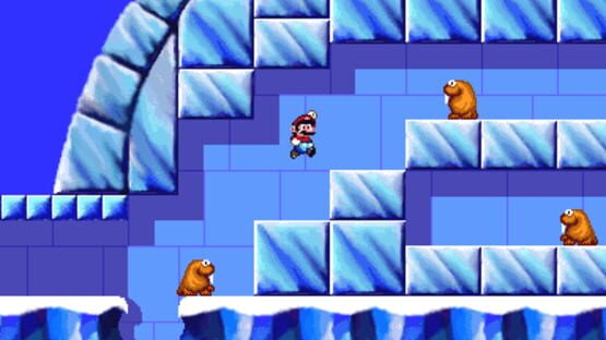Screenshot for Super Mario's Wacky Worlds