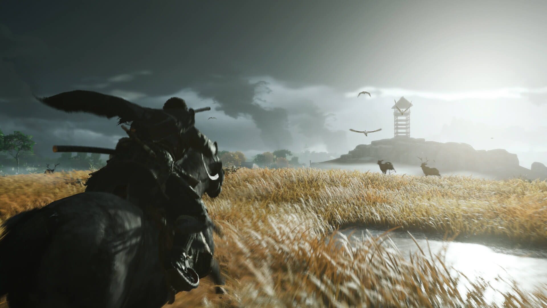 Screenshot for Ghost of Tsushima