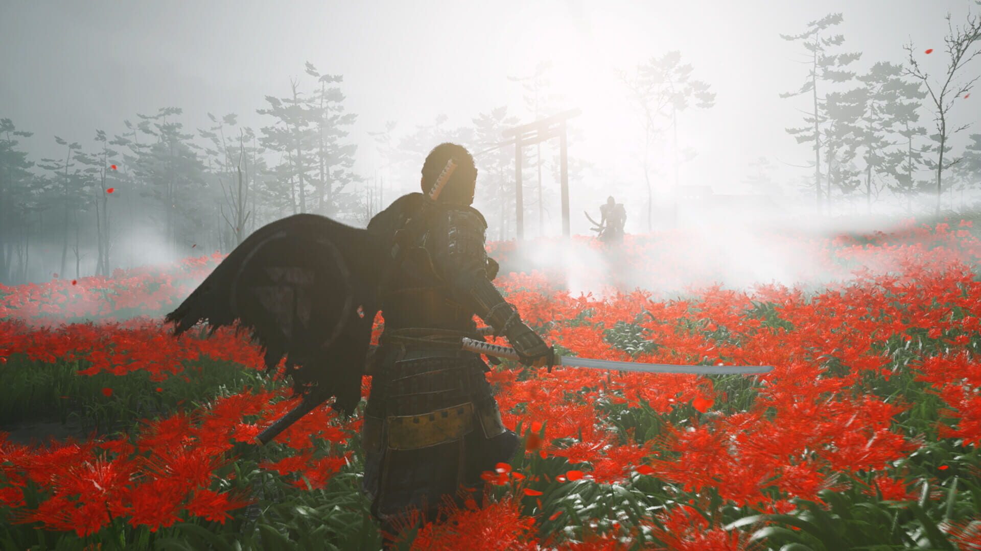 Screenshot for Ghost of Tsushima