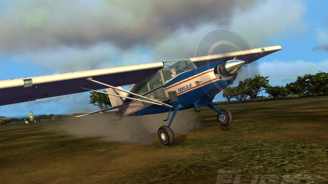 Screenshot for Microsoft Flight
