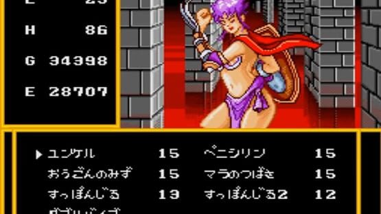 Screenshot for BodyConQuest II: Kyuuseishu