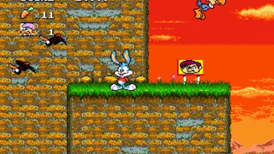 Screenshot for Tiny Toon Adventures: Buster's Hidden Treasure