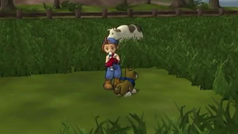 Screenshot for Harvest Moon: Save the Homeland