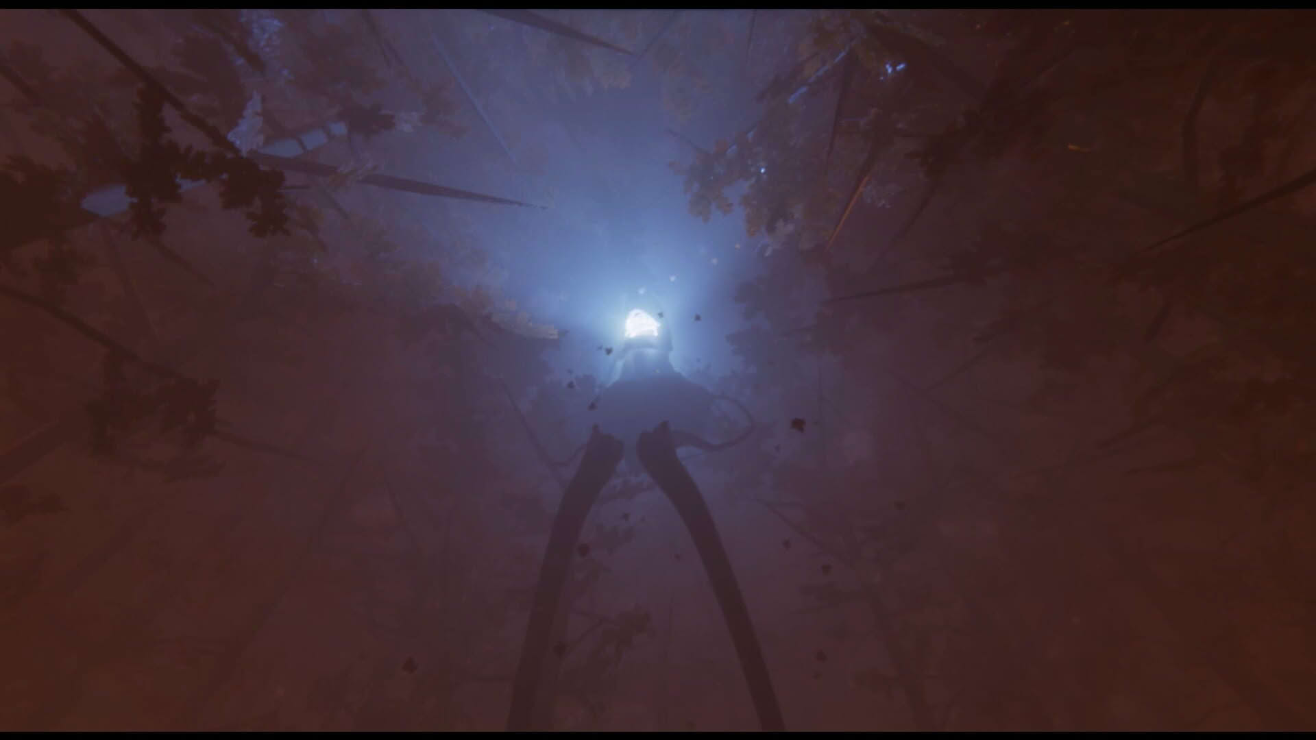 Screenshot for Tôtem