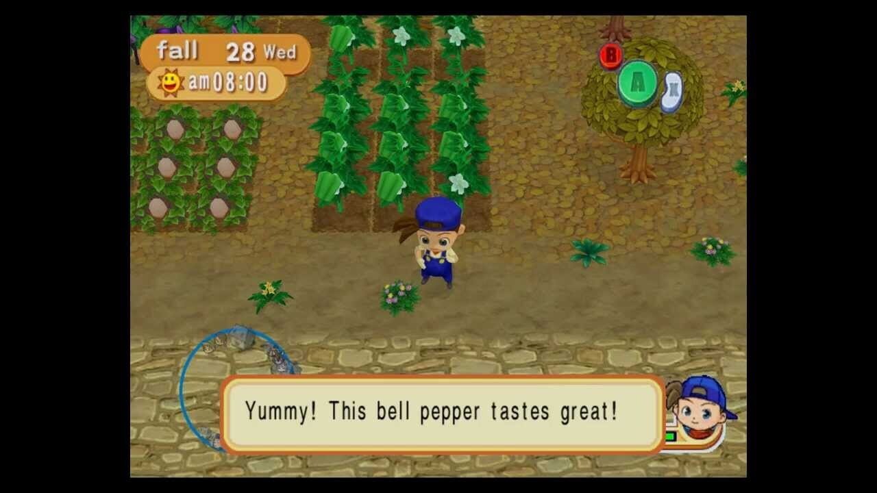 Screenshot for Harvest Moon: Magical Melody