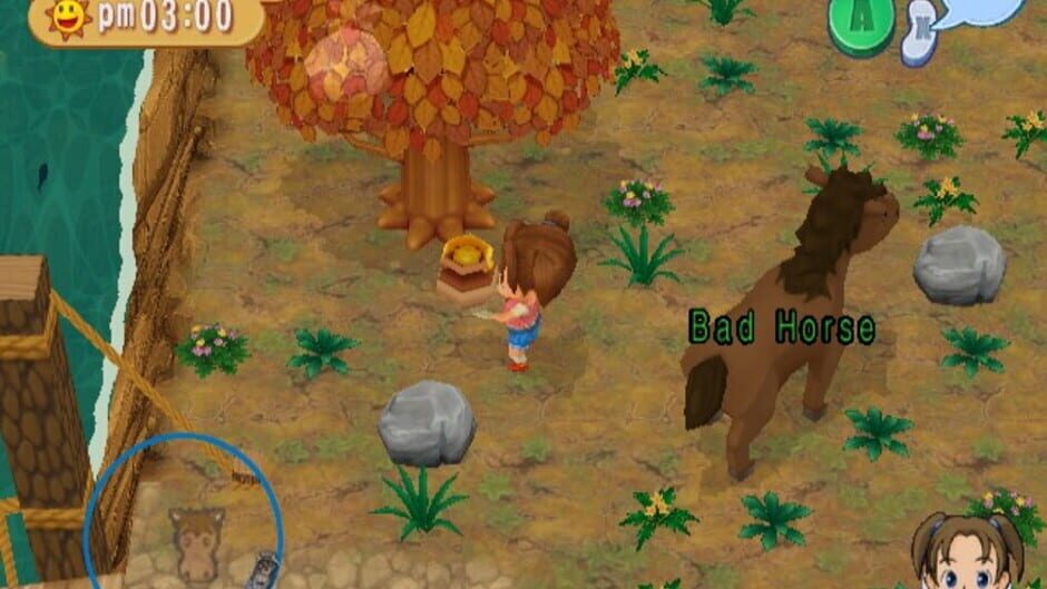 Screenshot for Harvest Moon: Magical Melody