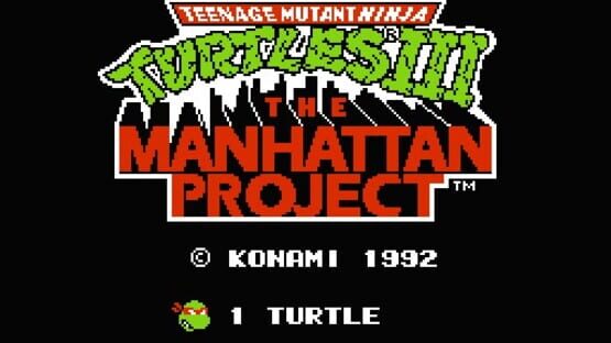 Screenshot for Teenage Mutant Ninja Turtles III: The Manhattan Project