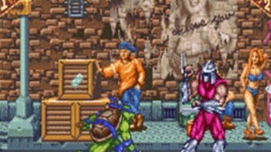 Screenshot for Teenage Mutant Ninja Turtles: Tournament Fighters