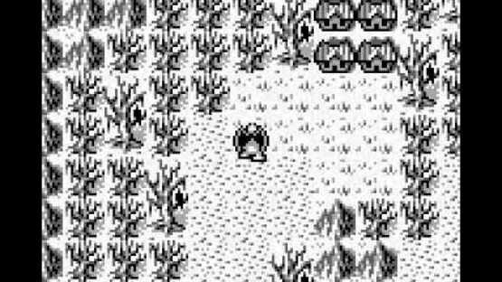 Screenshot for Gargoyle's Quest