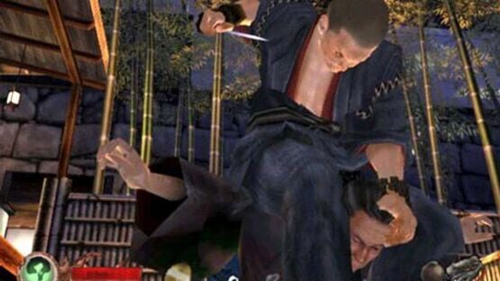 Screenshot for Tenchu: Wrath of Heaven