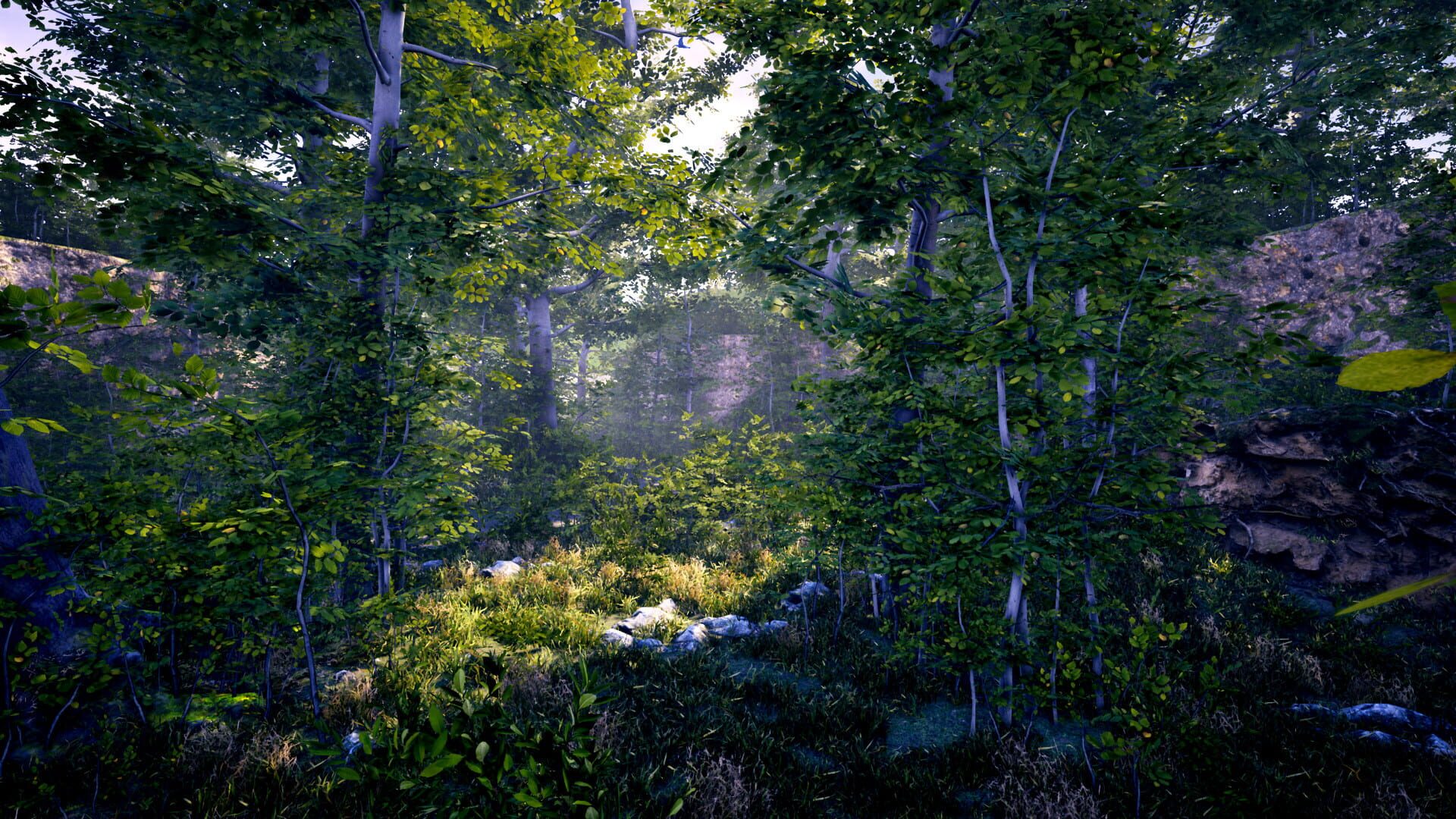 Screenshot for The Fabled Woods