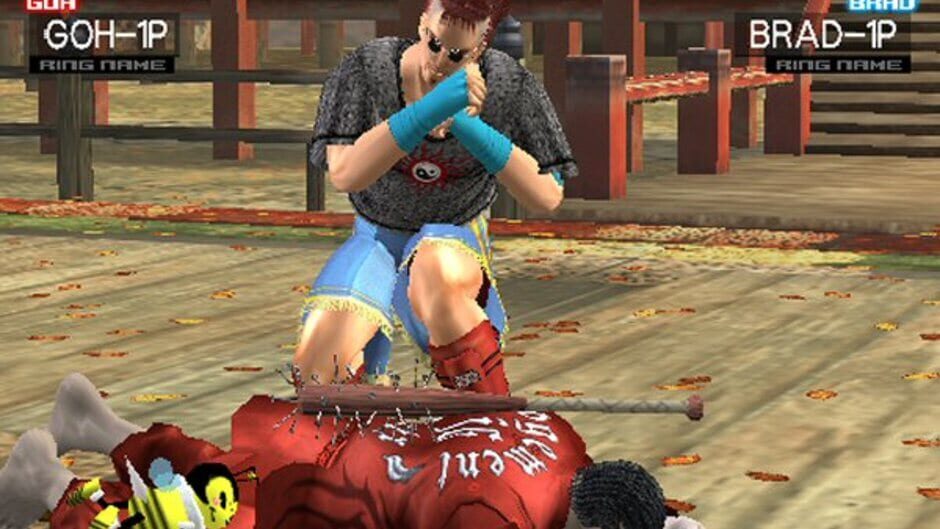 Screenshot for Virtua Fighter 4: Evolution