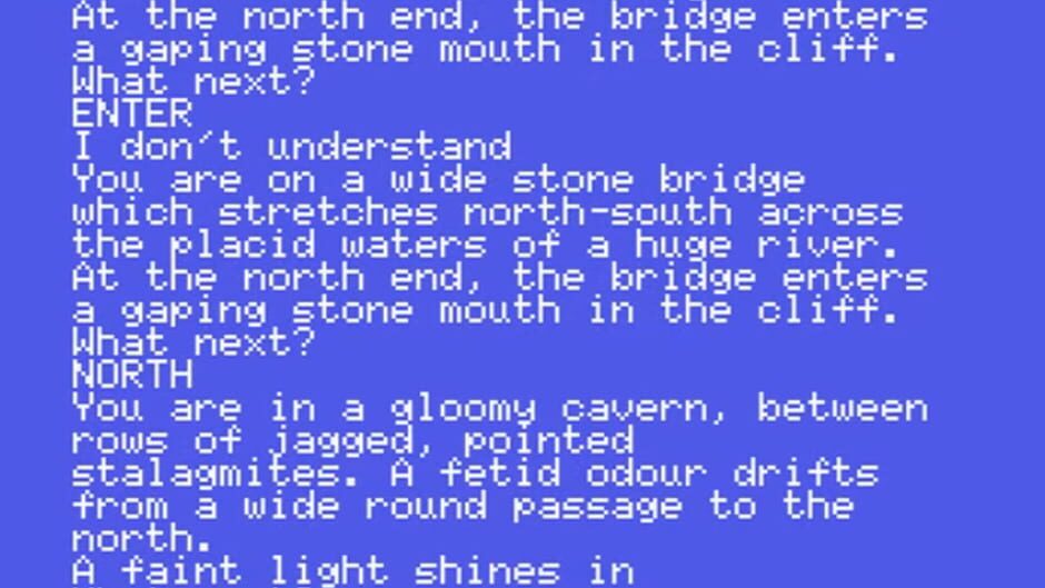 Screenshot for Jewels of Darkness: Dungeon Adventure
