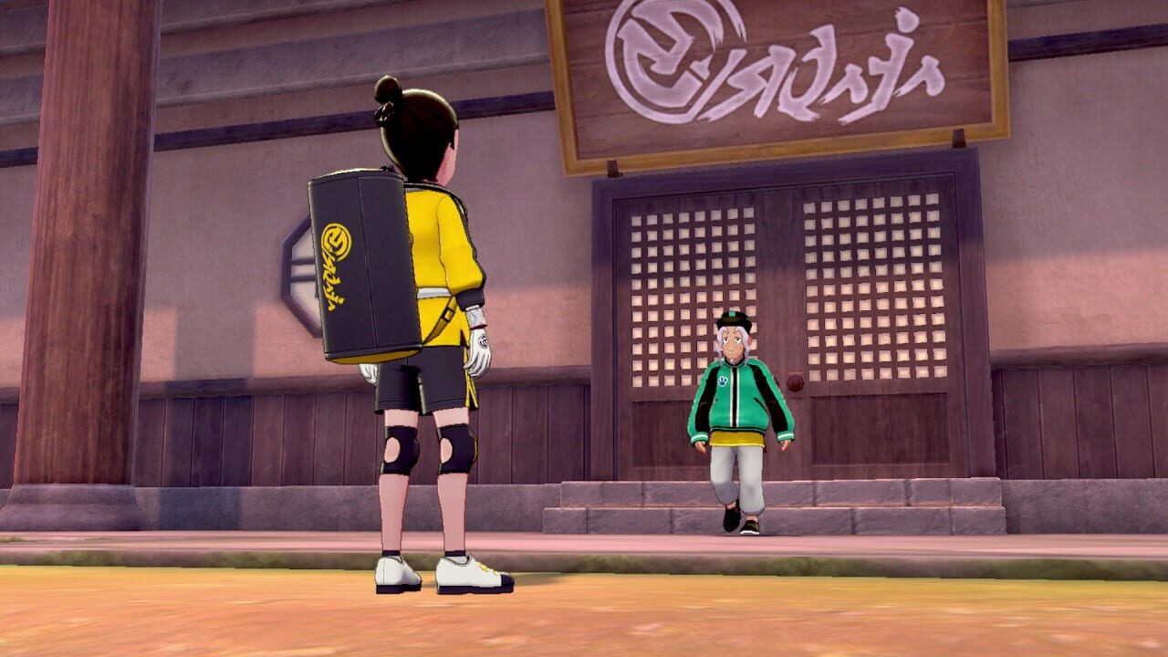 Screenshot for Pokémon Sword: The Isle of Armor