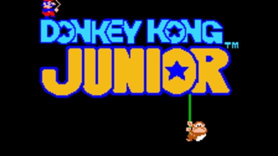 Screenshot for Donkey Kong Junior