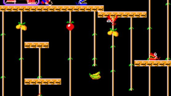 Screenshot for Donkey Kong Junior