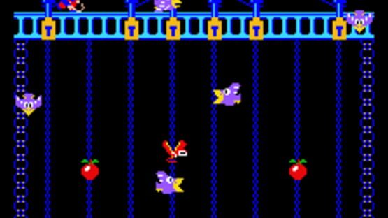 Screenshot for Donkey Kong Junior