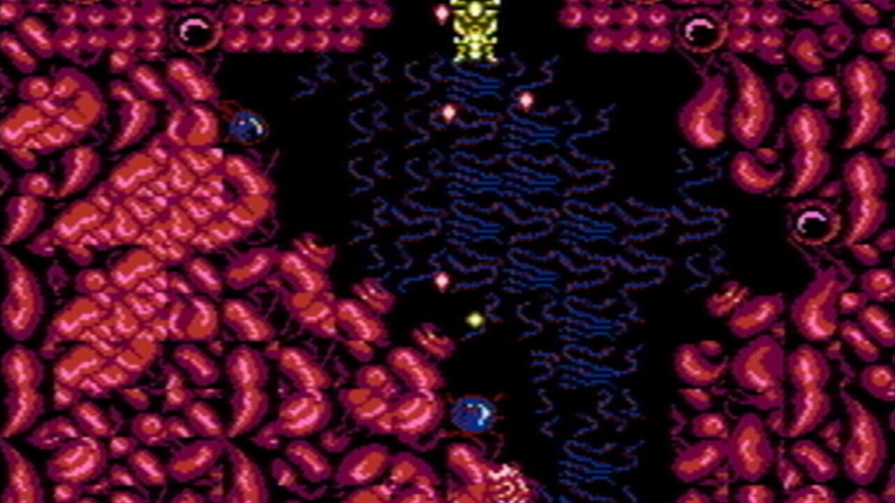 Screenshot for Abadox: The Deadly Inner War