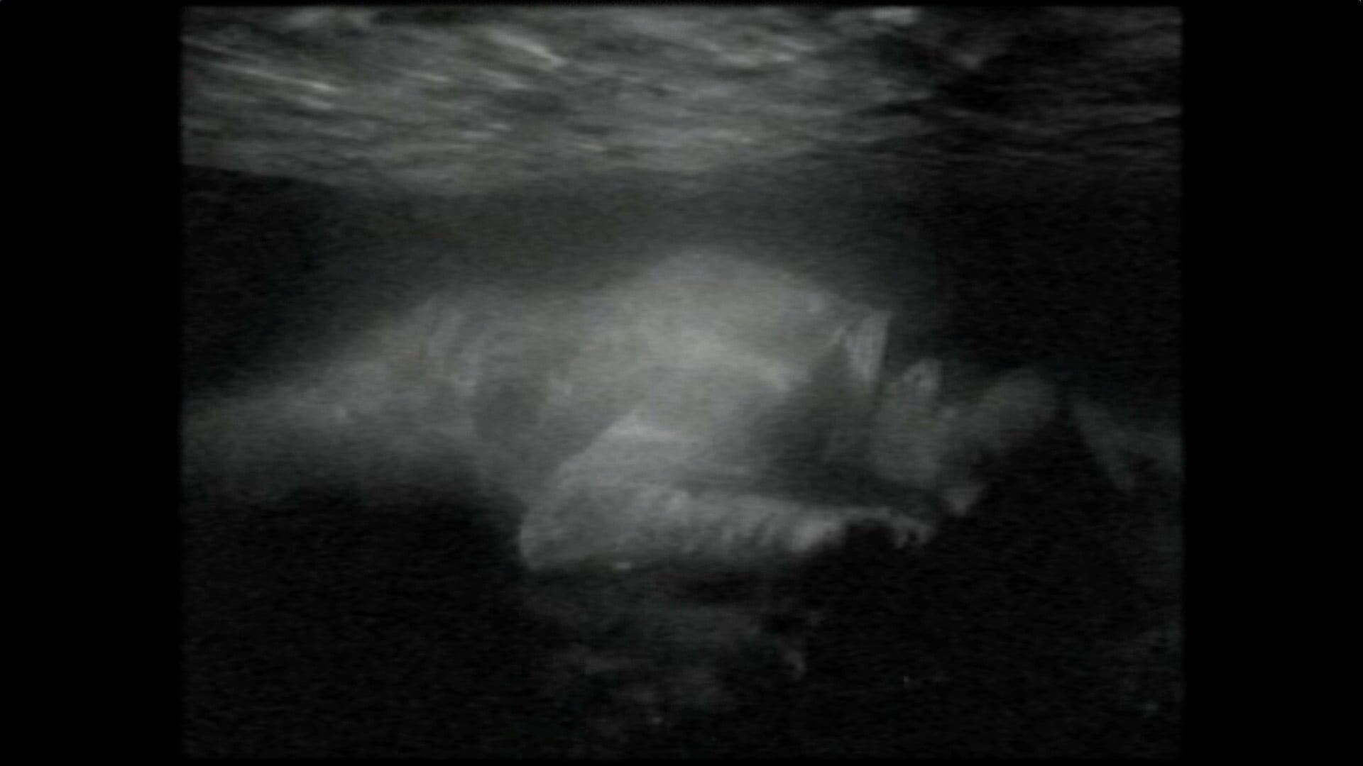 Screenshot for The Night Journey