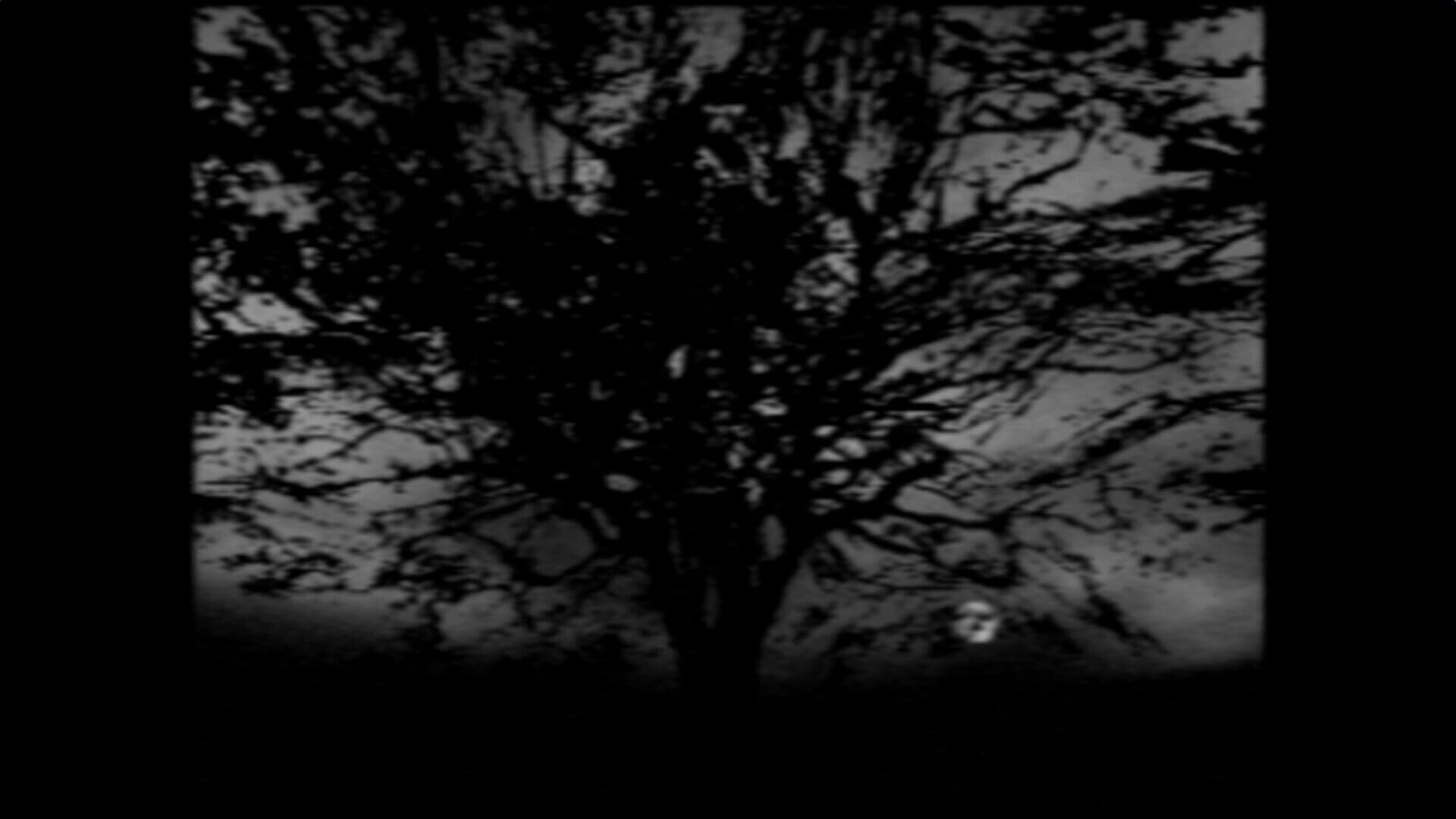 Screenshot for The Night Journey