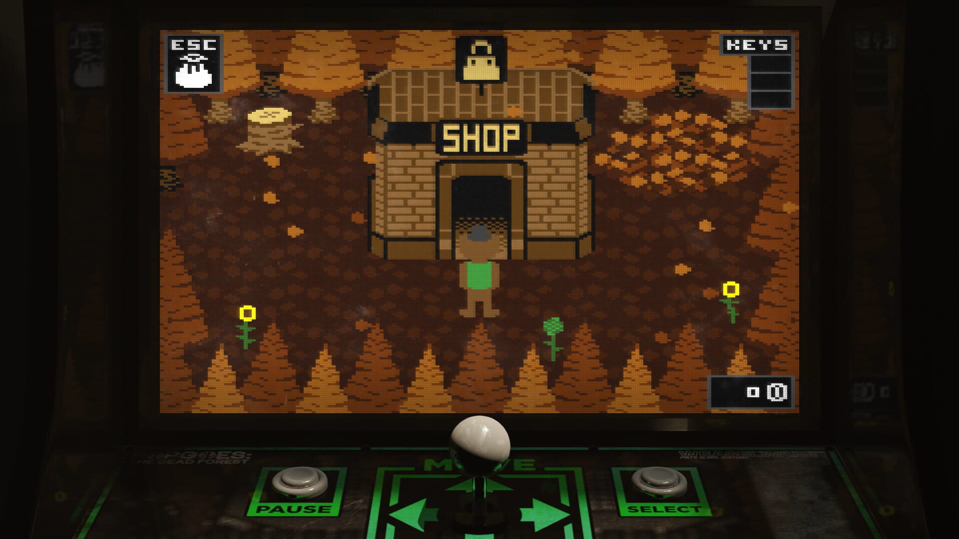 Screenshot for Popgoes Arcade