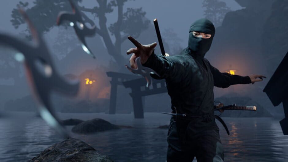 Screenshot for Ninja Simulator