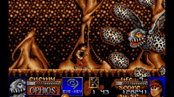 Screenshot for Risky Woods