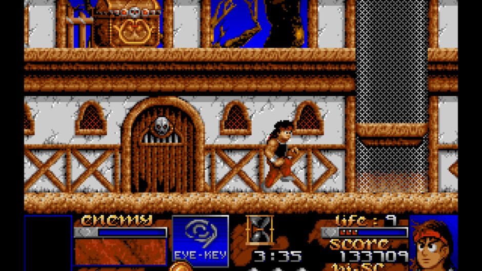 Screenshot for Risky Woods