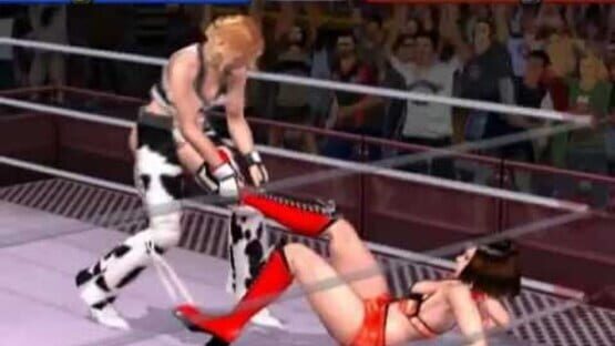 Screenshot for Rumble Roses