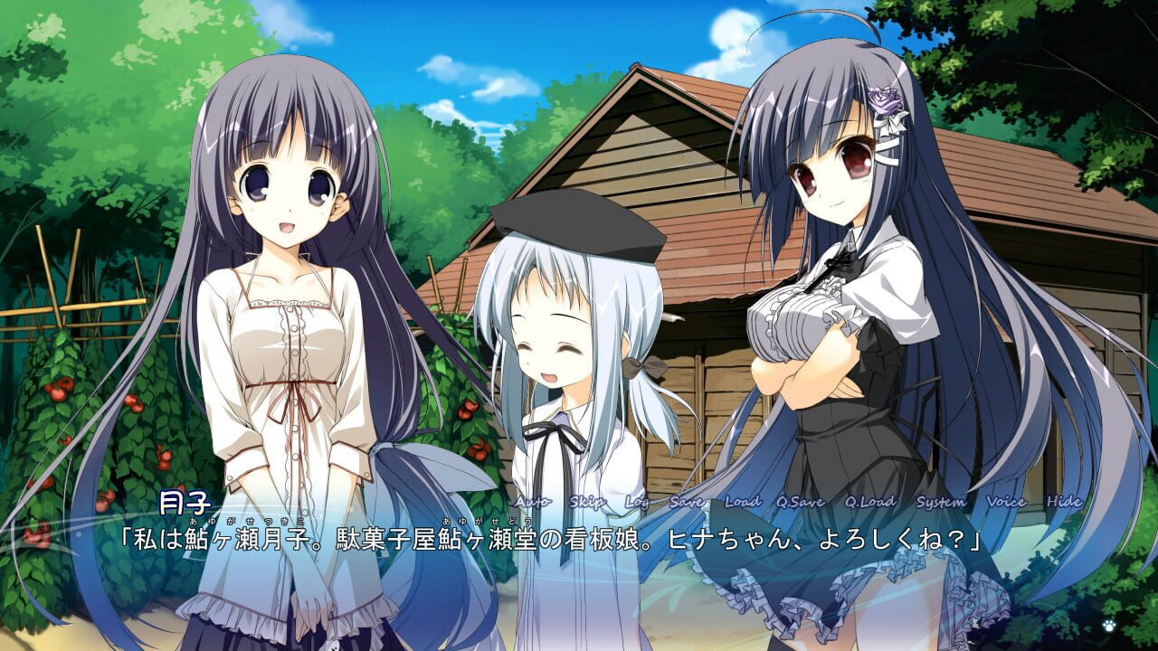 Screenshot for Himawari no Kyoukai to Nagai Natsuyasumi