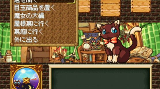 Screenshot for Sarara's Little Shop