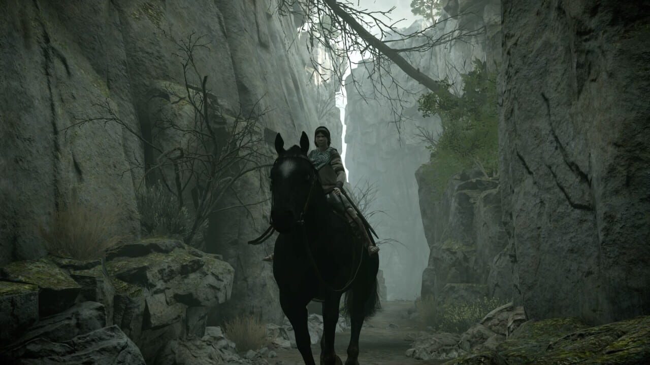 Screenshot for Shadow of the Colossus