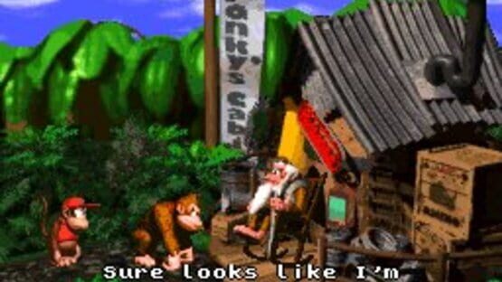 Screenshot for Donkey Kong Country