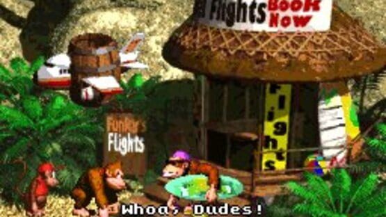 Screenshot for Donkey Kong Country