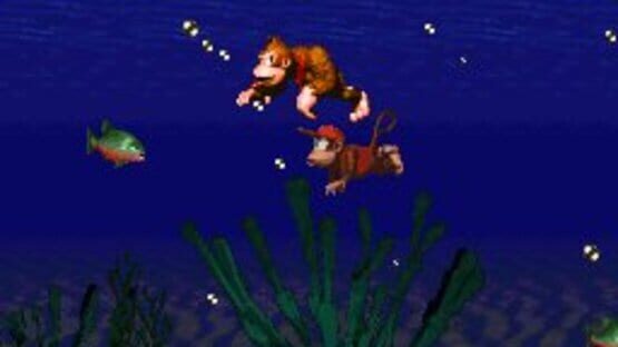 Screenshot for Donkey Kong Country