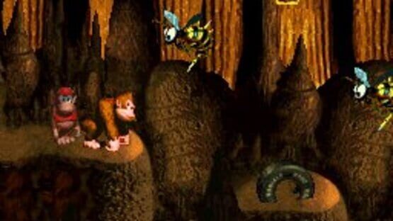 Screenshot for Donkey Kong Country