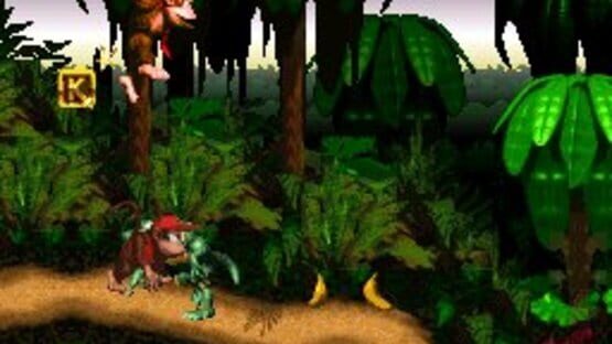 Screenshot for Donkey Kong Country
