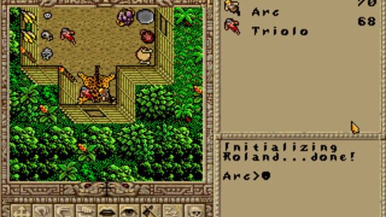 Screenshot for Worlds of Ultima: The Savage Empire