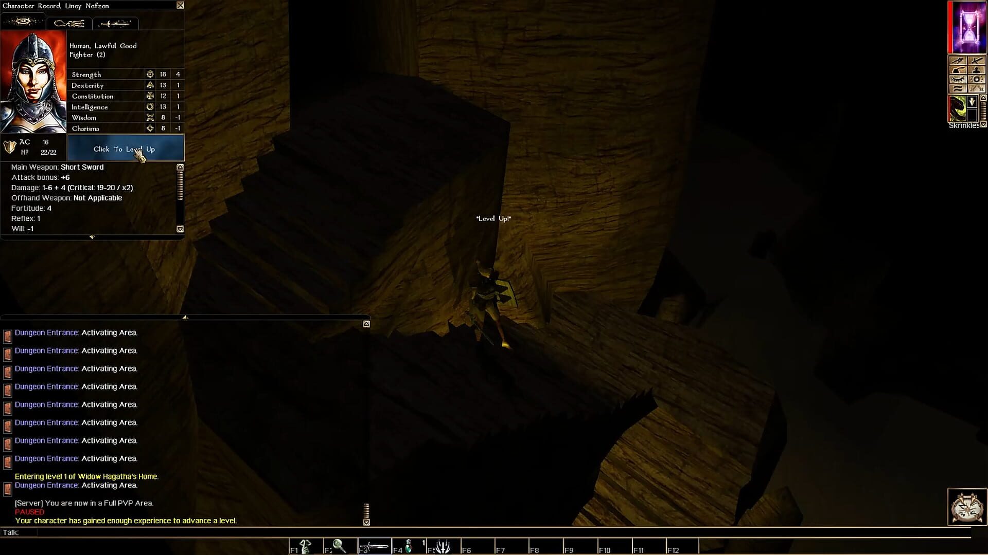Screenshot for Neverwinter Nights: Infinite Dungeons