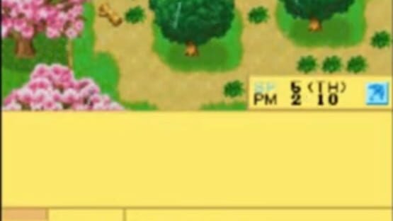 Screenshot for Harvest Moon DS Cute