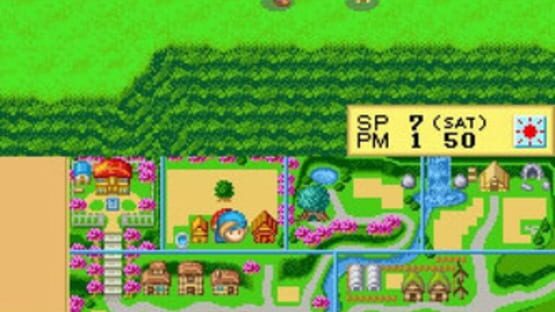 Screenshot for Harvest Moon DS