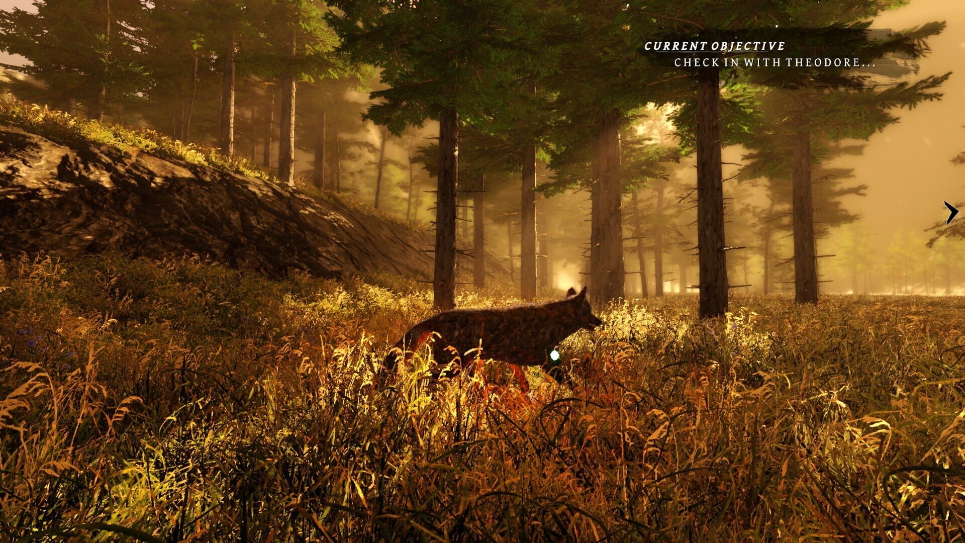 Screenshot for Tale of a Wolf