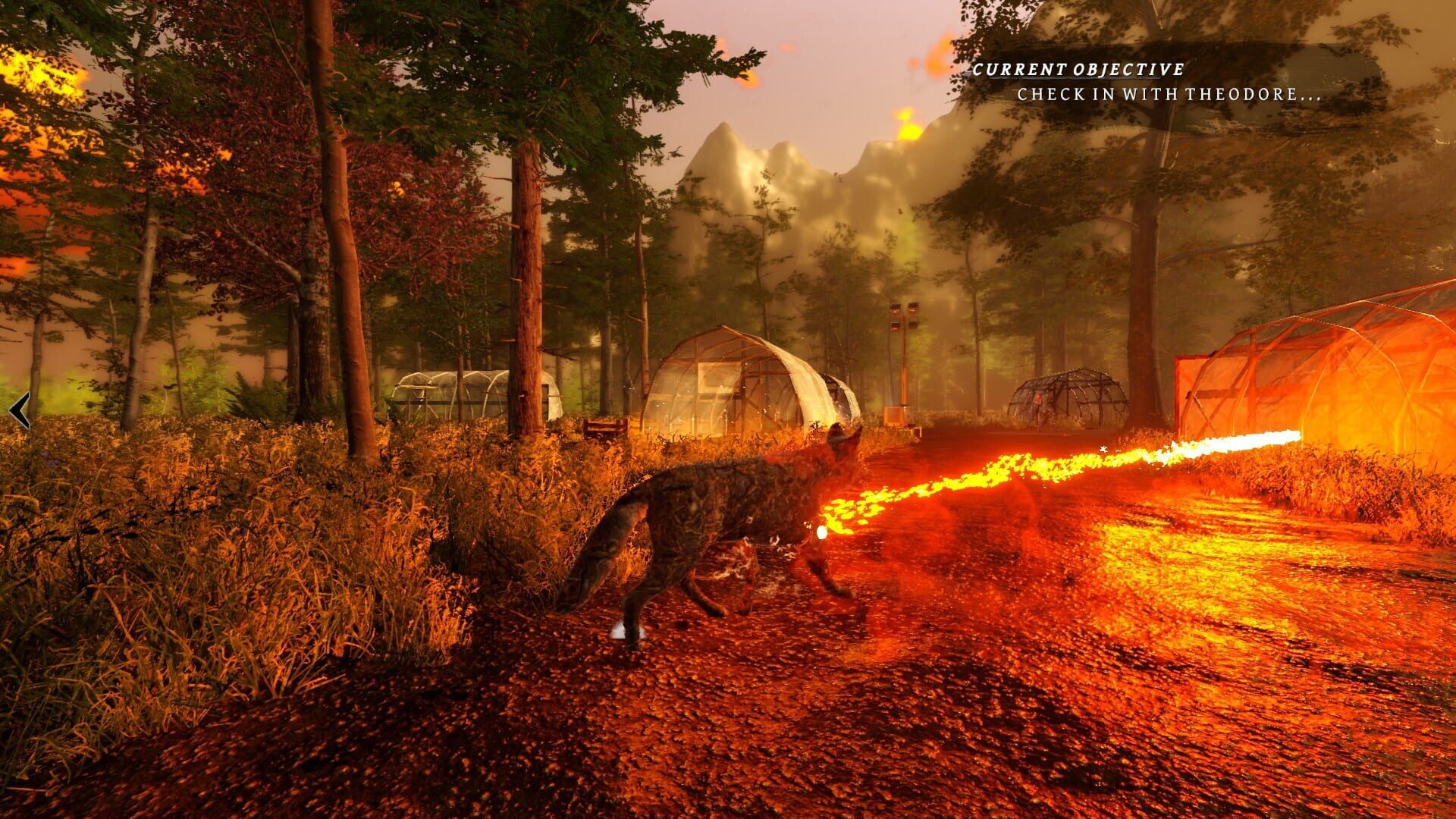 Screenshot for Tale of a Wolf