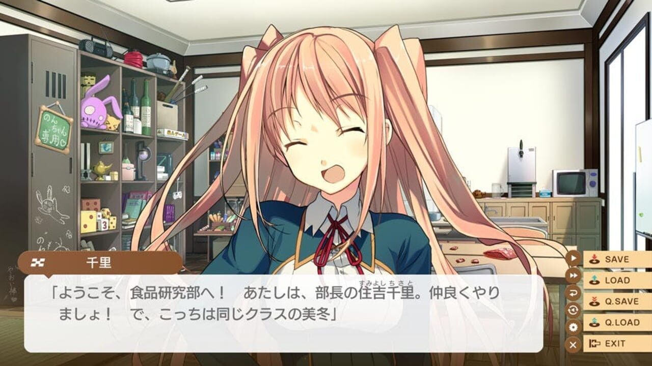 Screenshot for Love, Elections and Chocolate
