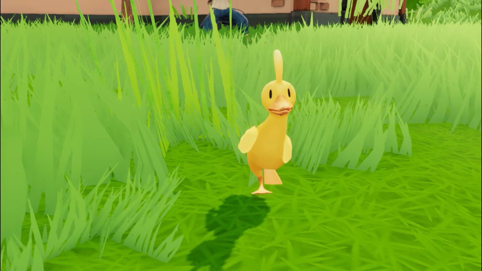 Screenshot for What the Duck