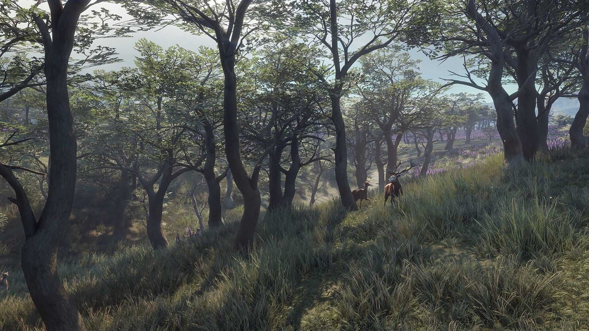 Screenshot for TheHunter: Call of the Wild - 2021 Edition
